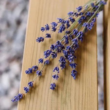 Dom wakacyjny Casa Natal Del Gigante De Sallent *