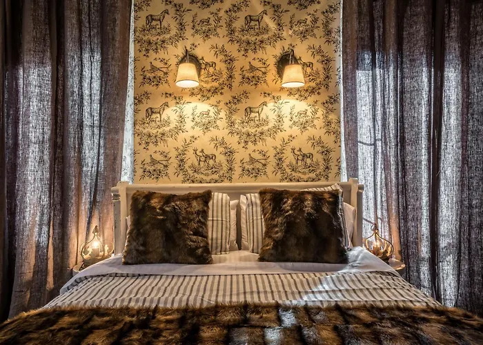 Casa Natal Del Gigante De Sallent *