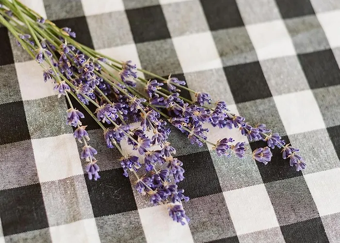 Casa Natal Del Gigante De Sallent * Sallent de Gállego